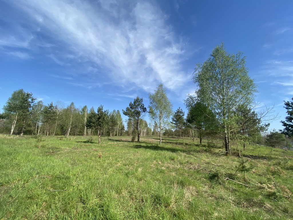 Działka na sprzedaż Lubieszewo 698 m2 | Arka Nieruchomości