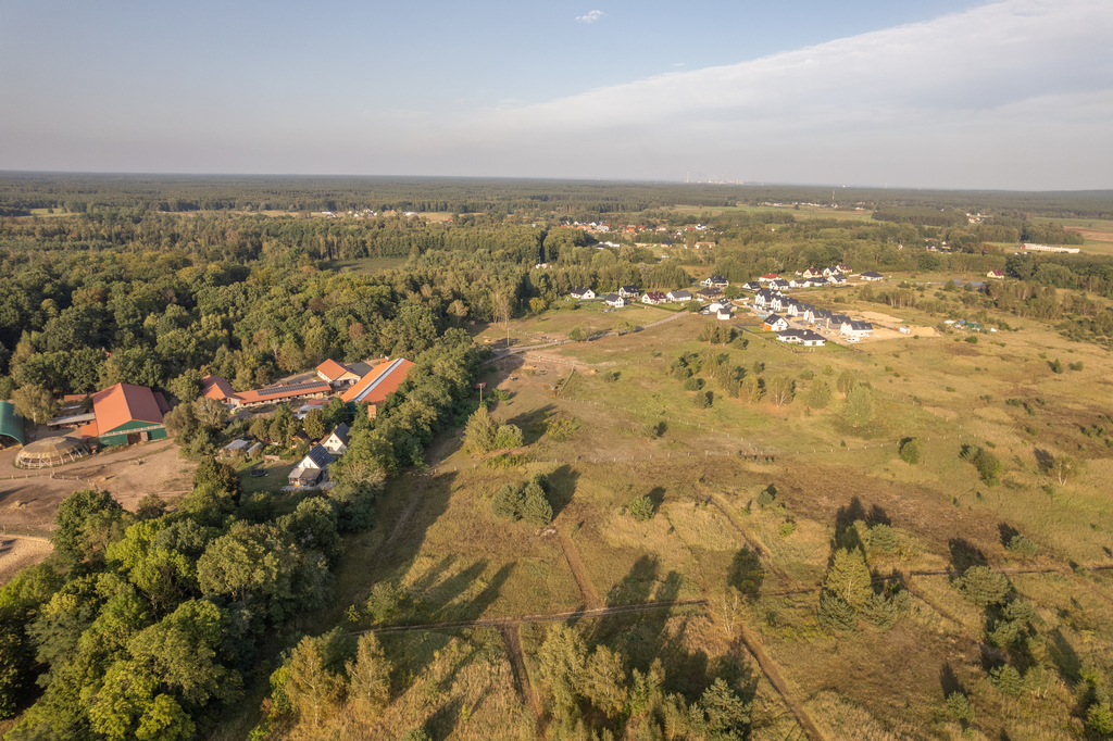 Działka na sprzedaż Dobra 6 000 m2 | Arka Nieruchomości