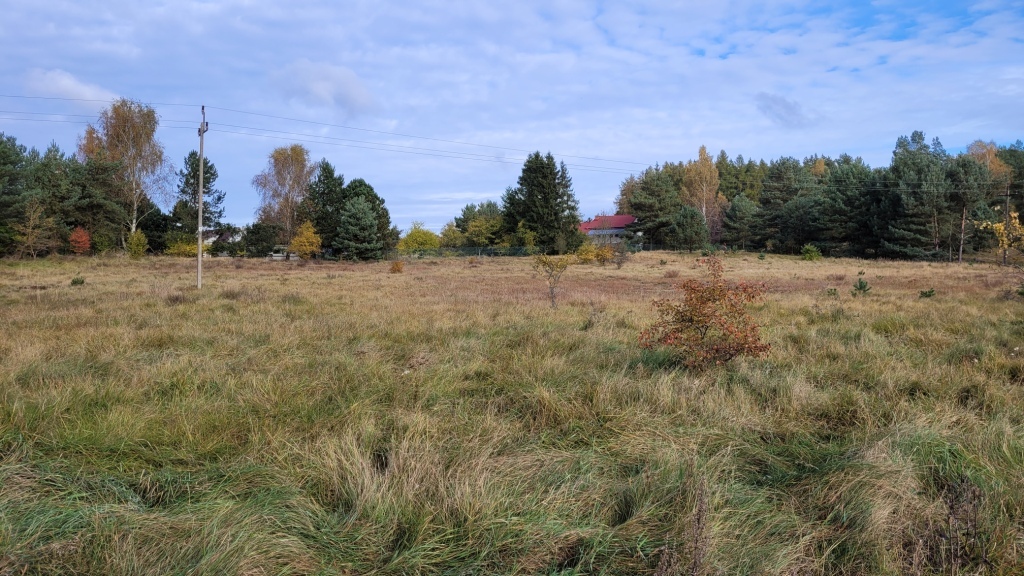 Działka na sprzedaż Warnowo 4 700 m2 | Arka Nieruchomości