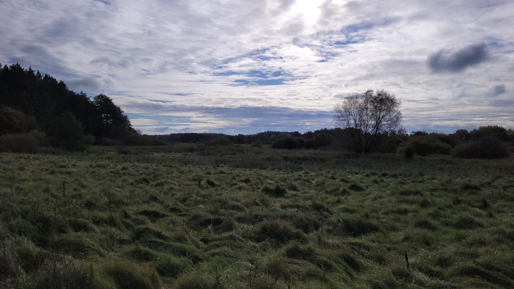 Działka na sprzedaż Warnowo 4 700 m2 | Arka Nieruchomości