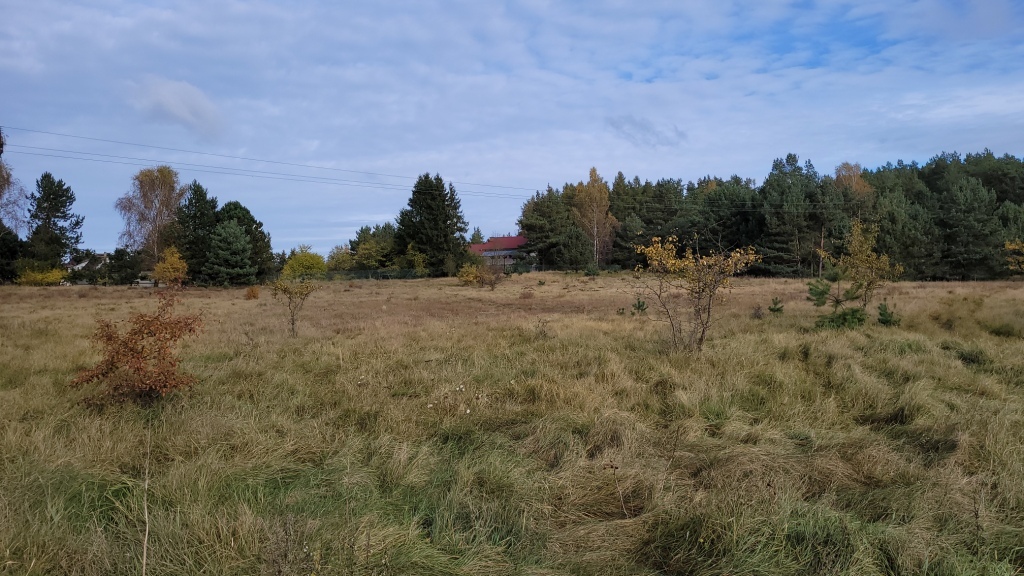 Działka na sprzedaż Warnowo 4 700 m2 | Arka Nieruchomości