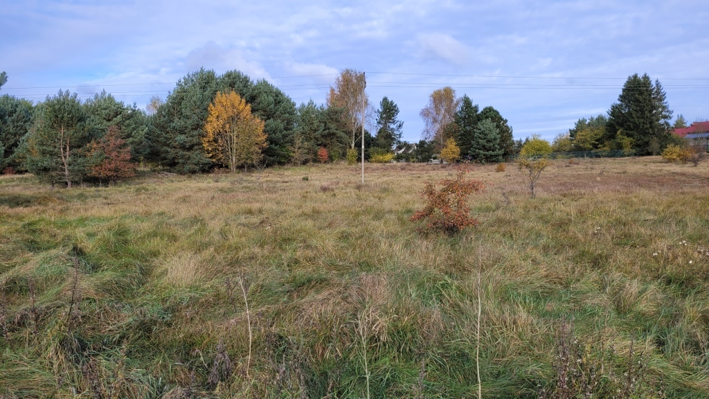 Działka na sprzedaż Warnowo 4 700 m2 | Arka Nieruchomości