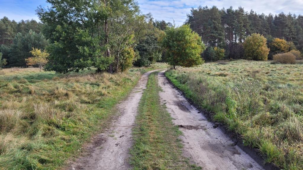Działka na sprzedaż Warnowo 4 700 m2 | Arka Nieruchomości