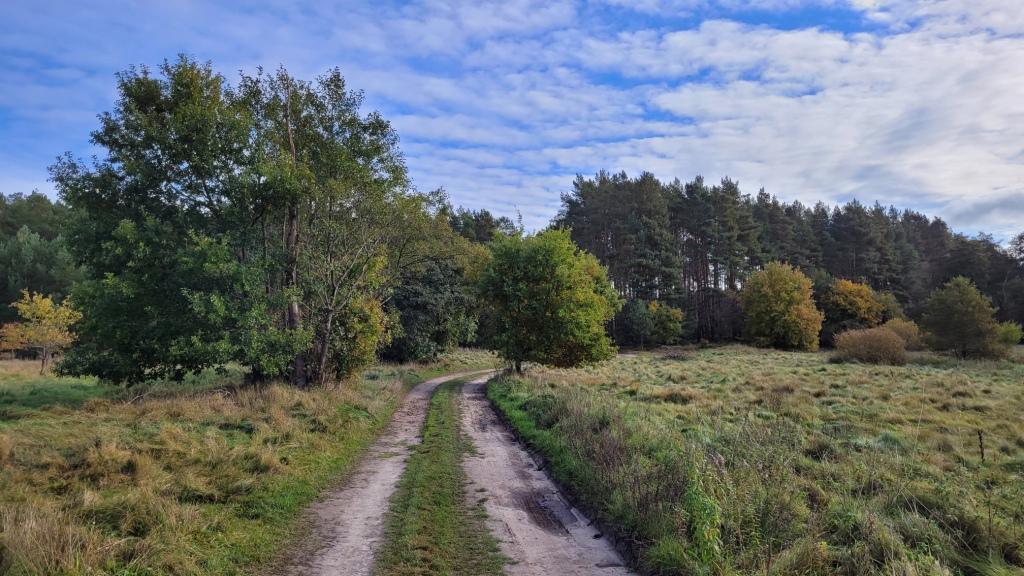Działka na sprzedaż Warnowo 4 700 m2 | Arka Nieruchomości