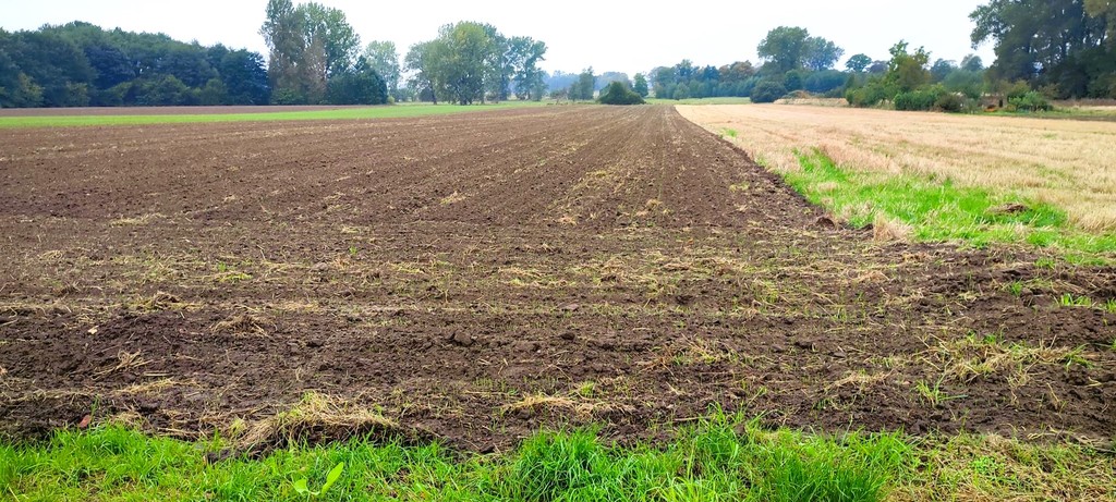 Działka na sprzedaż Rożnowo Nowogardzkie 6 536 m2 | Arka Nieruchomości