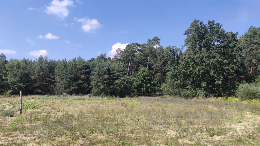 Działka na sprzedaż Kościno 2 439 m2 | Arka Nieruchomości