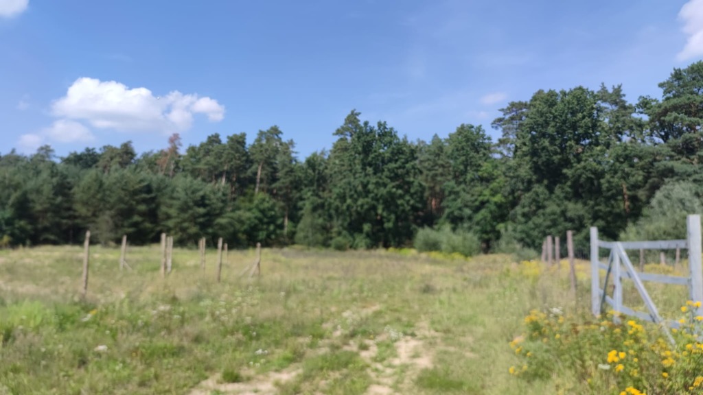 Działka na sprzedaż Kościno 2 439 m2 | Arka Nieruchomości