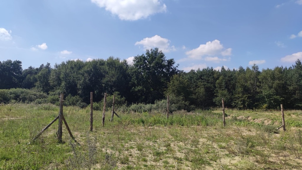Działka na sprzedaż Kościno 2 439 m2 | Arka Nieruchomości