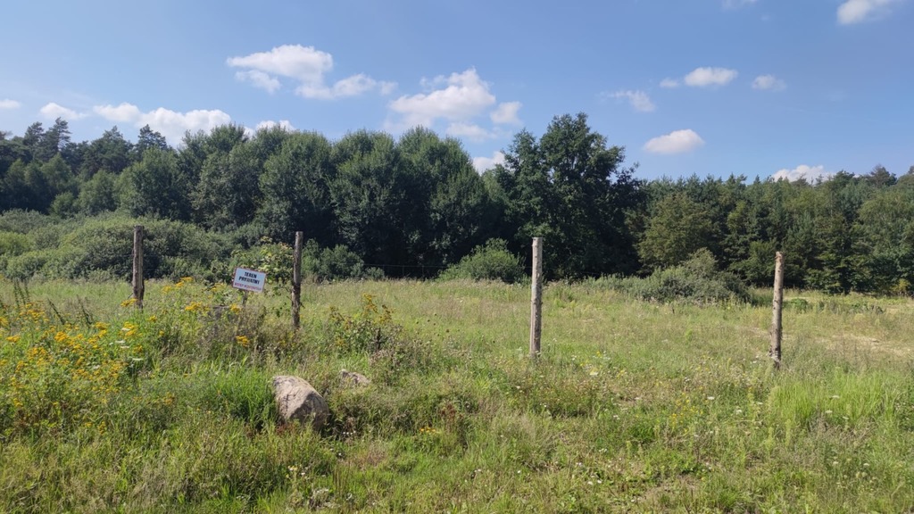 Działka na sprzedaż Kościno 2 439 m2 | Arka Nieruchomości