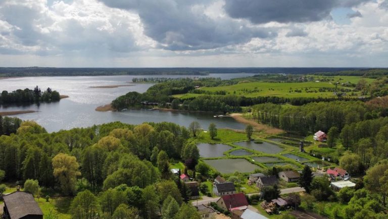 Działka na sprzedaż Lubieszewo 4 900 m2 | Arka Nieruchomości