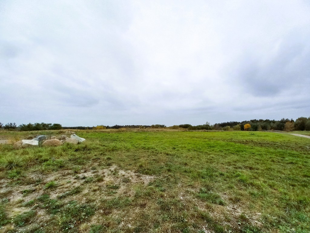 Na wynajem działki komercyjne pod rzgowem – zdjęcie 5