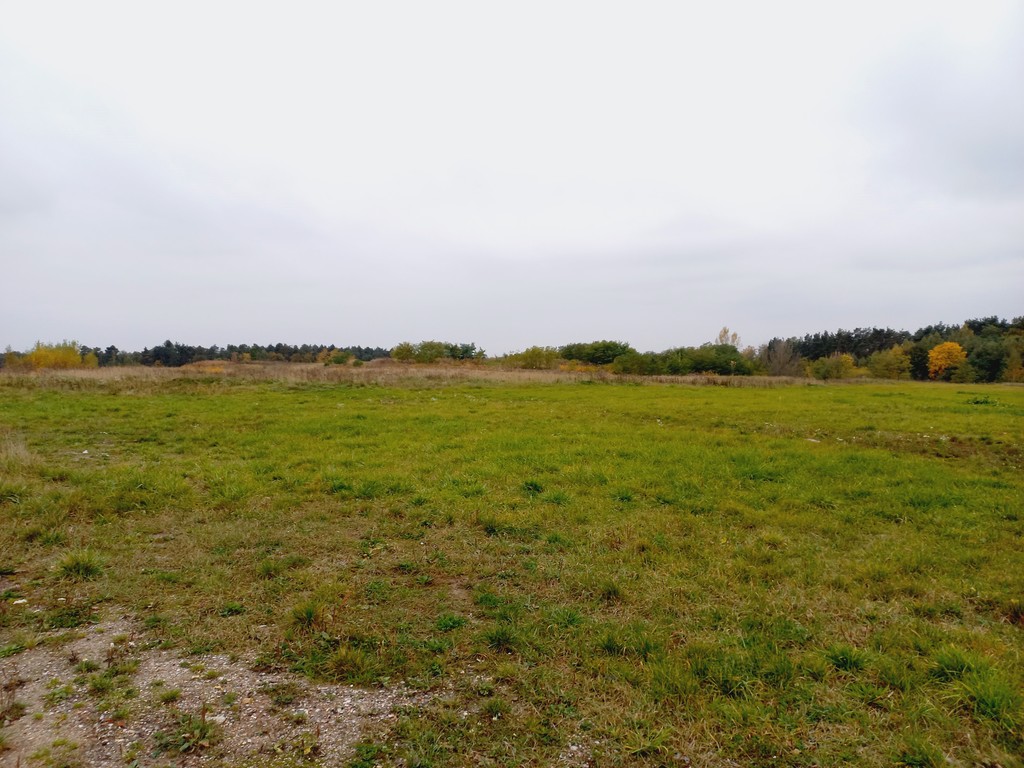 Na wynajem działki komercyjne pod rzgowem – zdjęcie 8