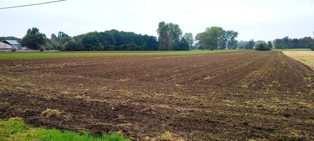 Działka na sprzedaż Rożnowo Nowogardzkie 1 725 m2 | Arka Nieruchomości