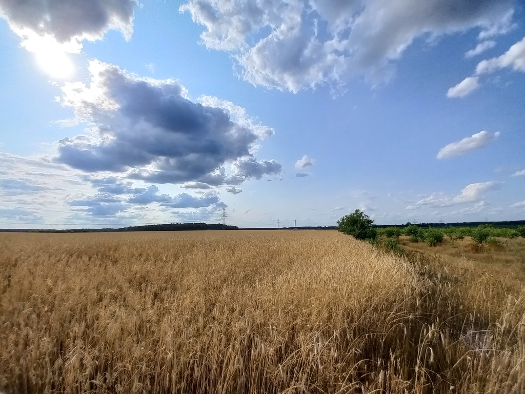 Działka inwestycyjna w zgierzu blisko s14 – zdjęcie 4