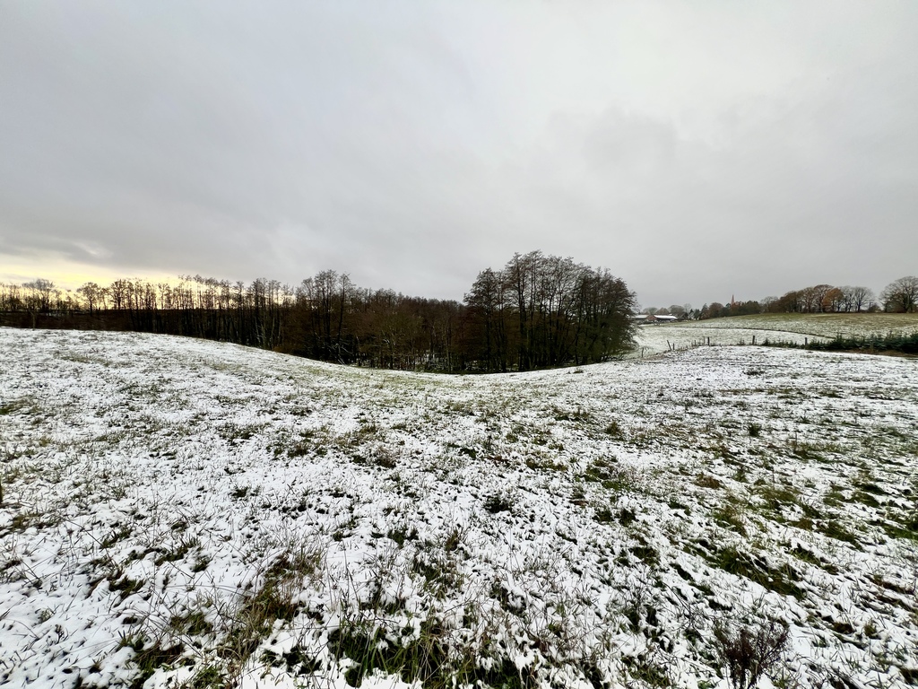 Działka na sprzedaż Kołowo 76 200 m2 | Arka Nieruchomości