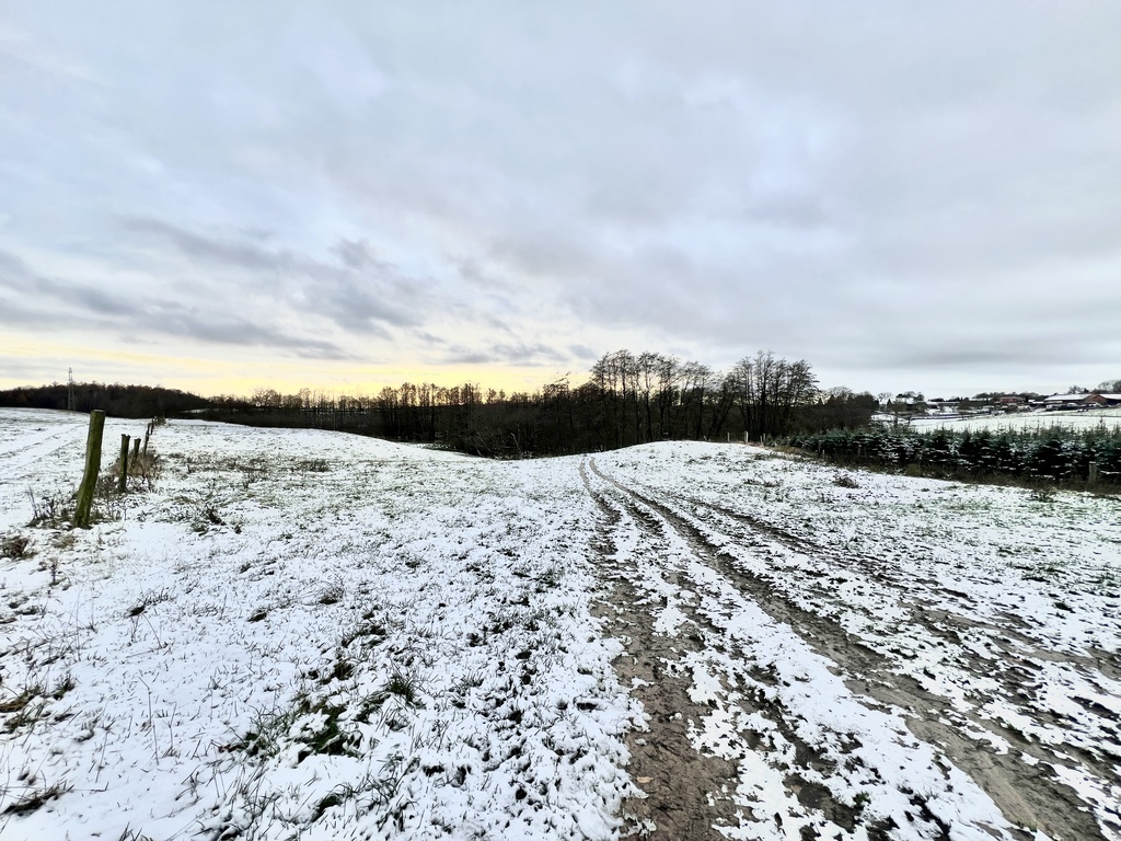 Działka na sprzedaż Kołowo 76 200 m2 | Arka Nieruchomości