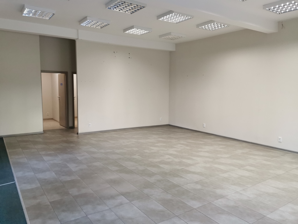Lokal na wynajem Mierzyn 360 m2 | Arka Nieruchomości