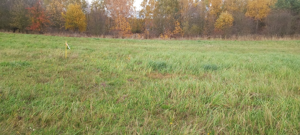 Działka na sprzedaż Steklno 1 085 m2 | Arka Nieruchomości