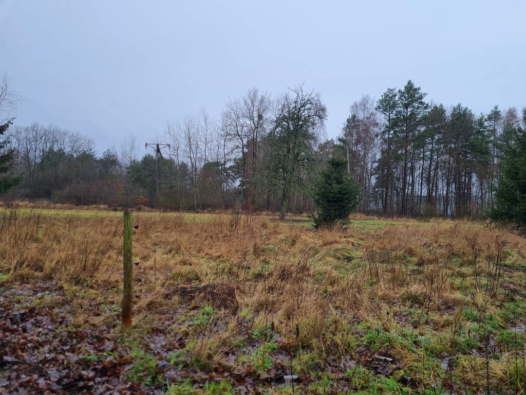 Działka na sprzedaż Szczecin, Płonia 3 000 m2 | Arka Nieruchomości