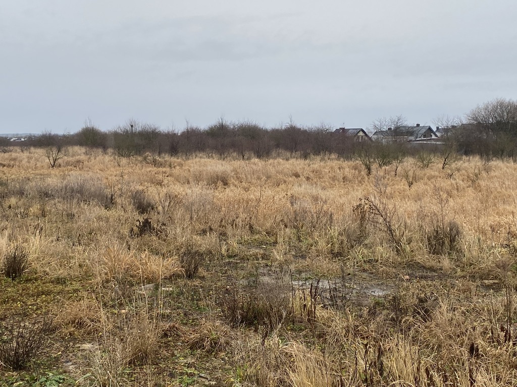 Działka na sprzedaż Mierzyn 1 177 m2 | Arka Nieruchomości
