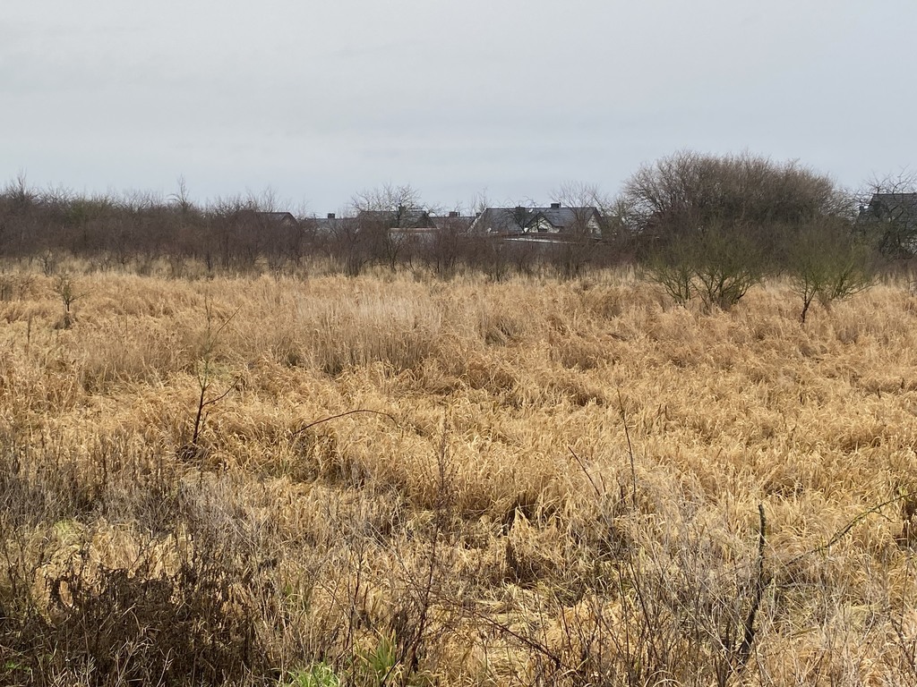 Działka na sprzedaż Mierzyn 1 177 m2 | Arka Nieruchomości