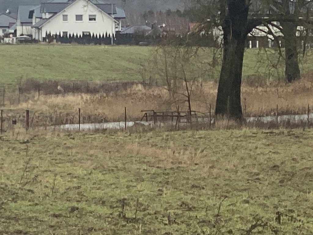 Działka na sprzedaż Mierzyn 1 177 m2 | Arka Nieruchomości