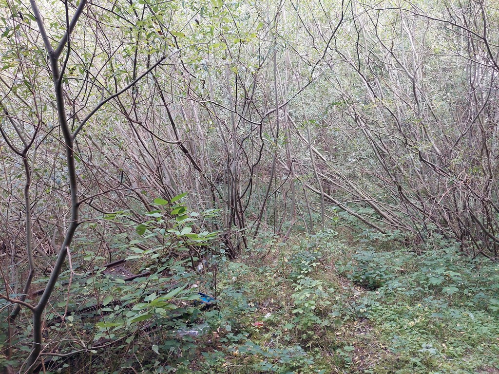 Działka na sprzedaż Drawno 13 451 m2 | Arka Nieruchomości