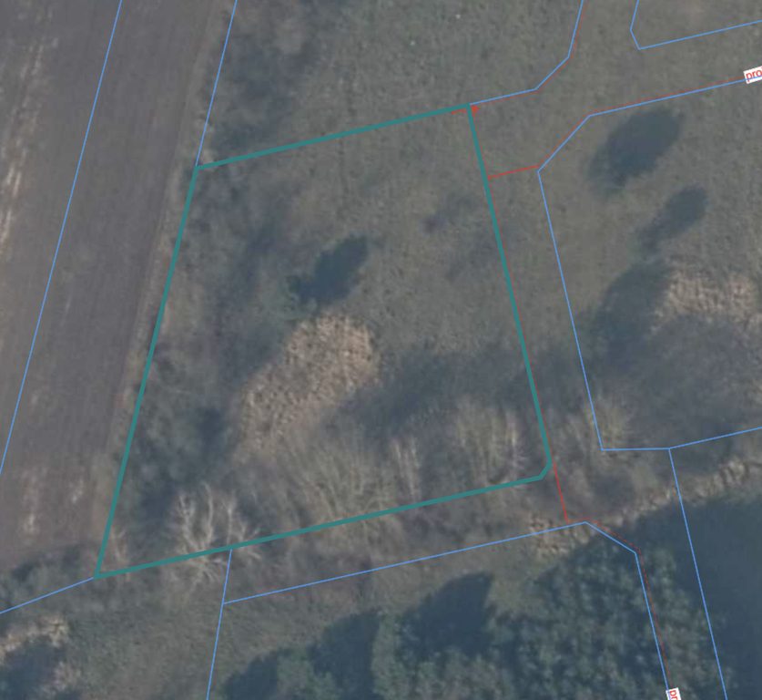 Działka na sprzedaż Brzózki 3 115 m2 | Arka Nieruchomości