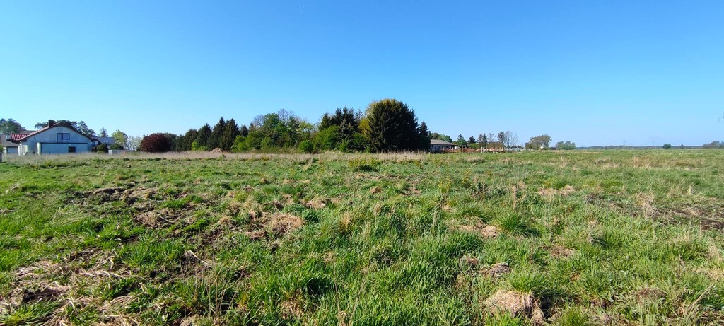 Działka na sprzedaż Modrzewie 2 666 m2 | Arka Nieruchomości