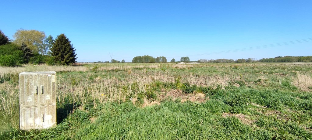 Działka na sprzedaż Modrzewie 2 666 m2 | Arka Nieruchomości