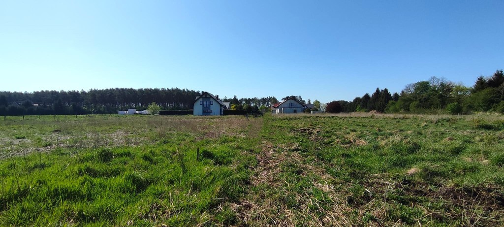 Działka na sprzedaż Modrzewie 2 666 m2 | Arka Nieruchomości