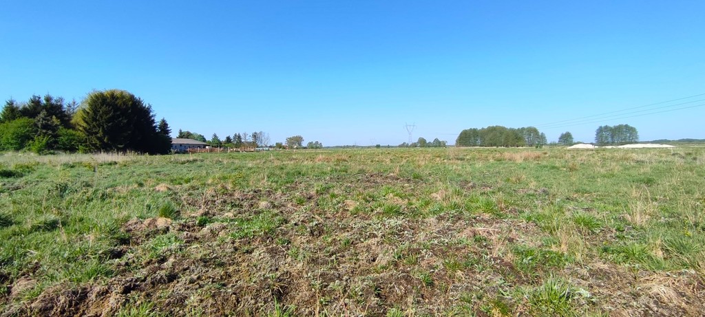 Działka na sprzedaż Modrzewie 2 666 m2 | Arka Nieruchomości