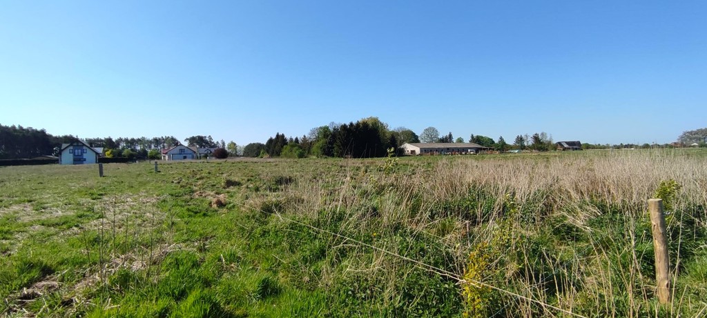 Działka na sprzedaż Modrzewie 2 666 m2 | Arka Nieruchomości