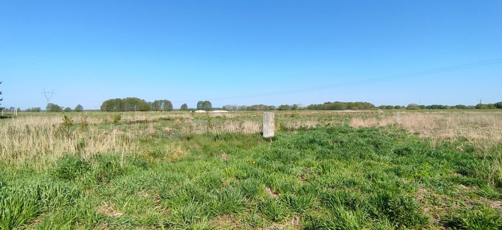 Działka na sprzedaż Modrzewie 2 666 m2 | Arka Nieruchomości