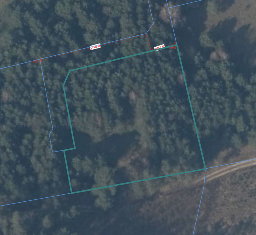 Działka na sprzedaż Brzózki 3 039 m2 | Arka Nieruchomości