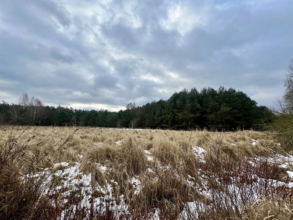 Działka na sprzedaż Brzózki 3 045 m2 | Arka Nieruchomości