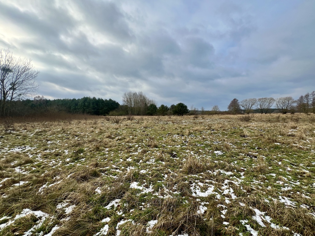 Działka na sprzedaż Brzózki 3 045 m2 | Arka Nieruchomości