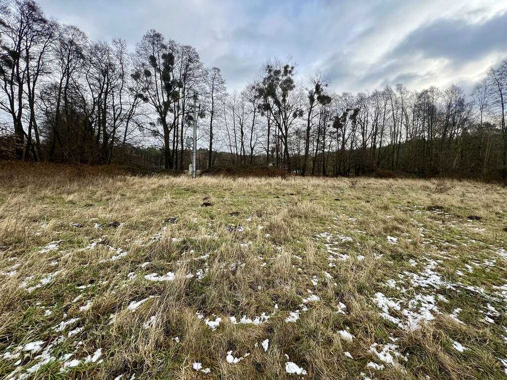 Działka na sprzedaż Brzózki 3 023 m2 | Arka Nieruchomości