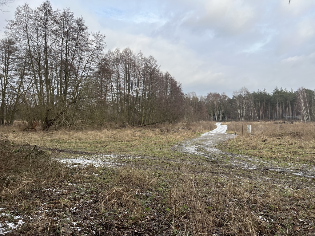 Działka na sprzedaż Brzózki 3 023 m2 | Arka Nieruchomości