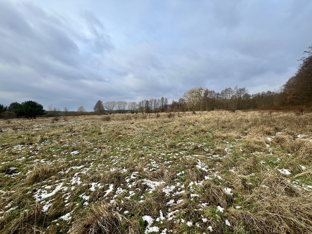 Działka na sprzedaż Brzózki 3 211 m2 | Arka Nieruchomości