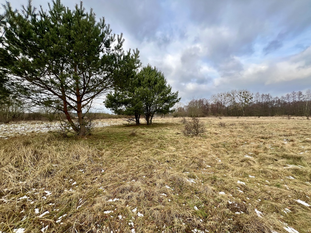 Działka na sprzedaż Brzózki 3 211 m2 | Arka Nieruchomości