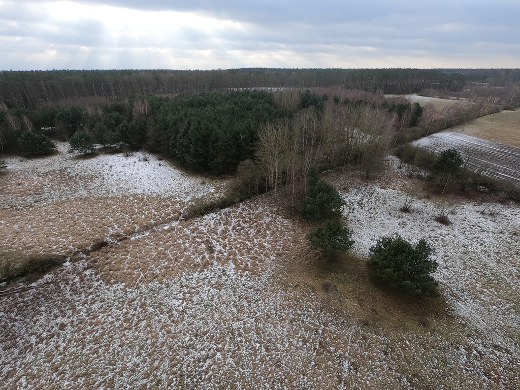 Działka na sprzedaż Brzózki 3 045 m2 | Arka Nieruchomości