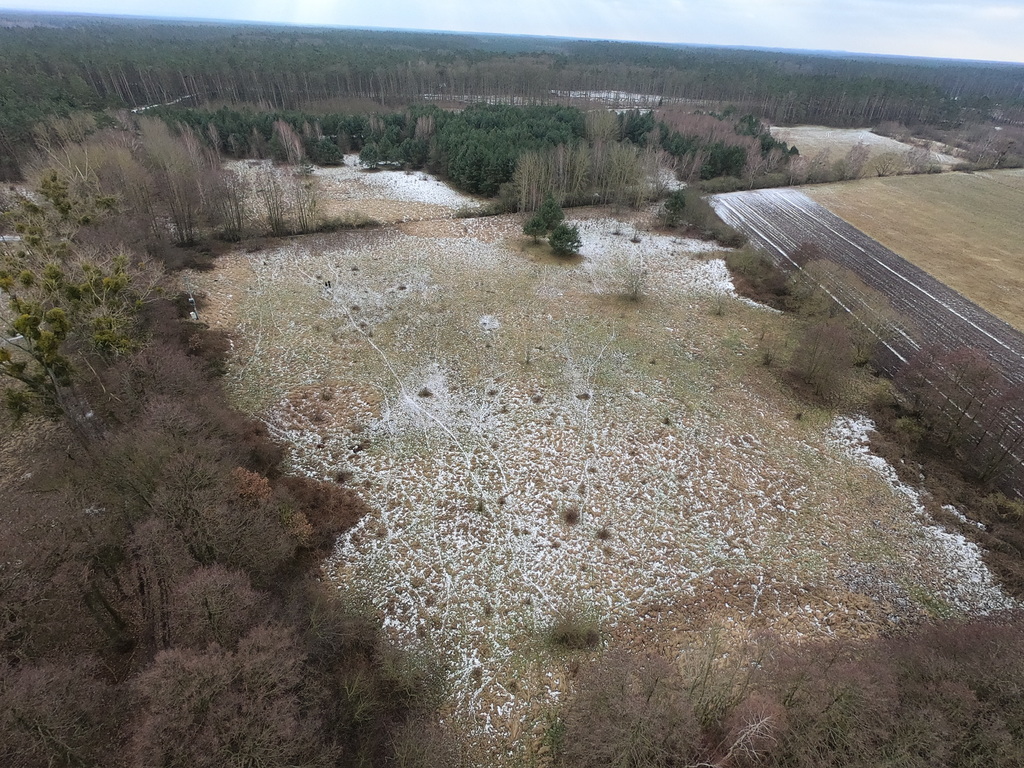 Działka na sprzedaż Brzózki 3 045 m2 | Arka Nieruchomości