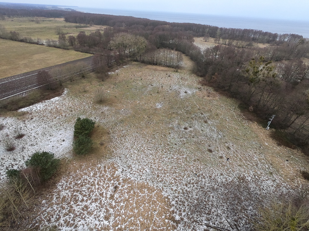 Działka na sprzedaż Brzózki 3 039 m2 | Arka Nieruchomości