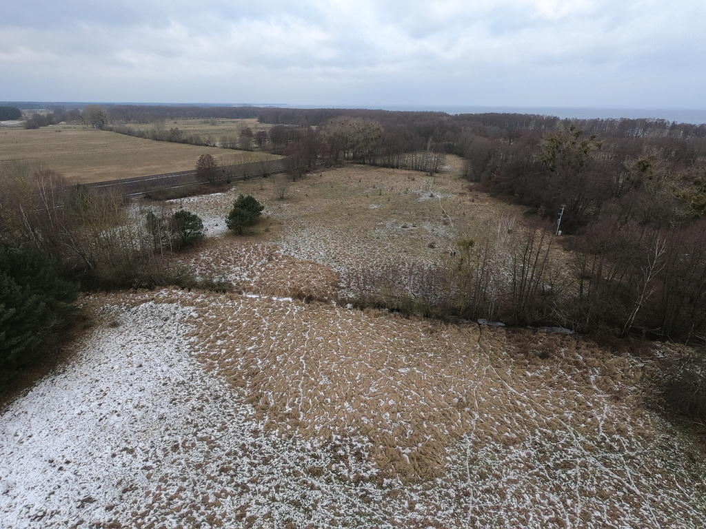 Działka na sprzedaż Brzózki 3 039 m2 | Arka Nieruchomości