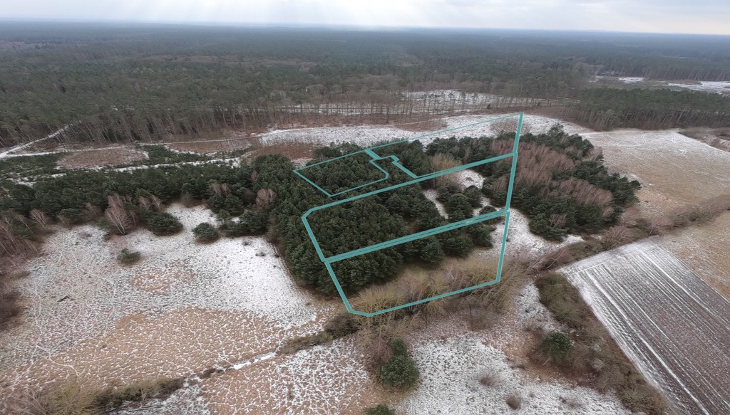 Działka na sprzedaż Brzózki 3 045 m2 | Arka Nieruchomości