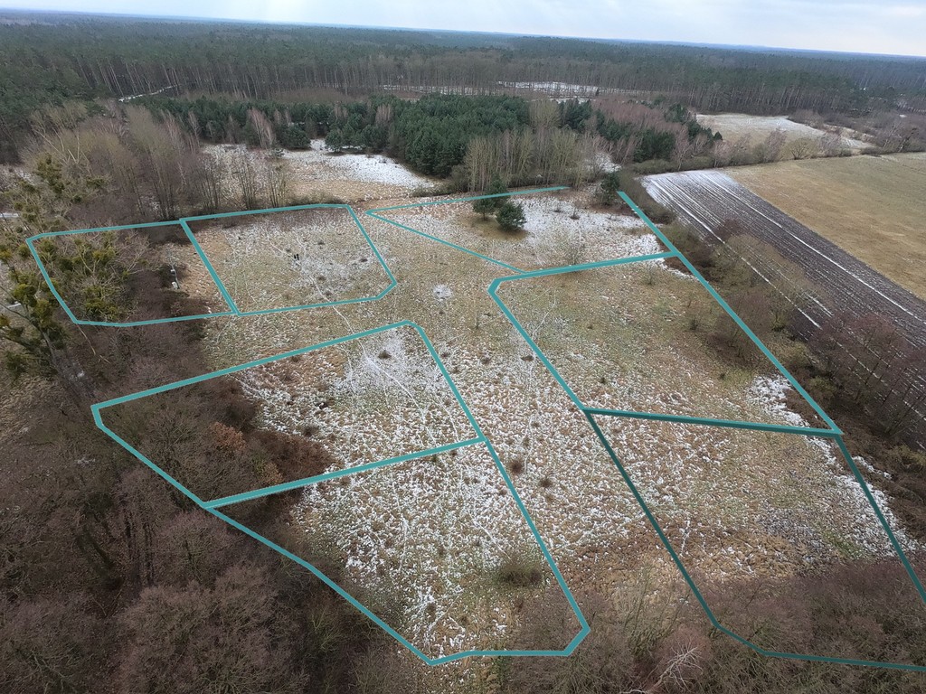Działka na sprzedaż Brzózki 3 023 m2 | Arka Nieruchomości