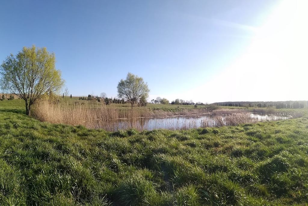 Dom na sprzedaż Stare Czarnowo 926 m2 | Arka Nieruchomości