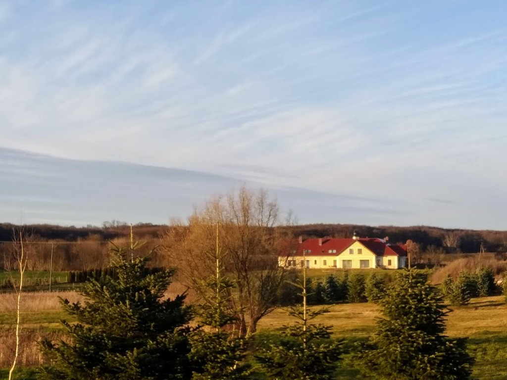 Dom na sprzedaż Stare Czarnowo 926 m2 | Arka Nieruchomości