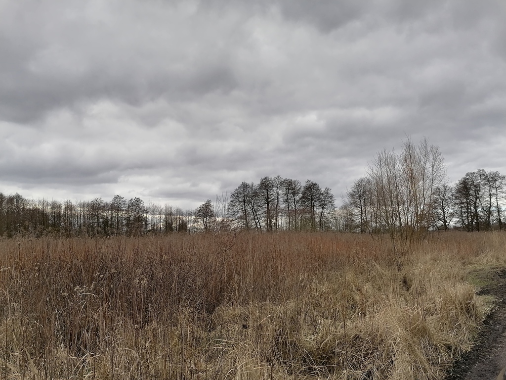 Działka na sprzedaż Szczecin, Dąbie 3 930 m2 | Arka Nieruchomości